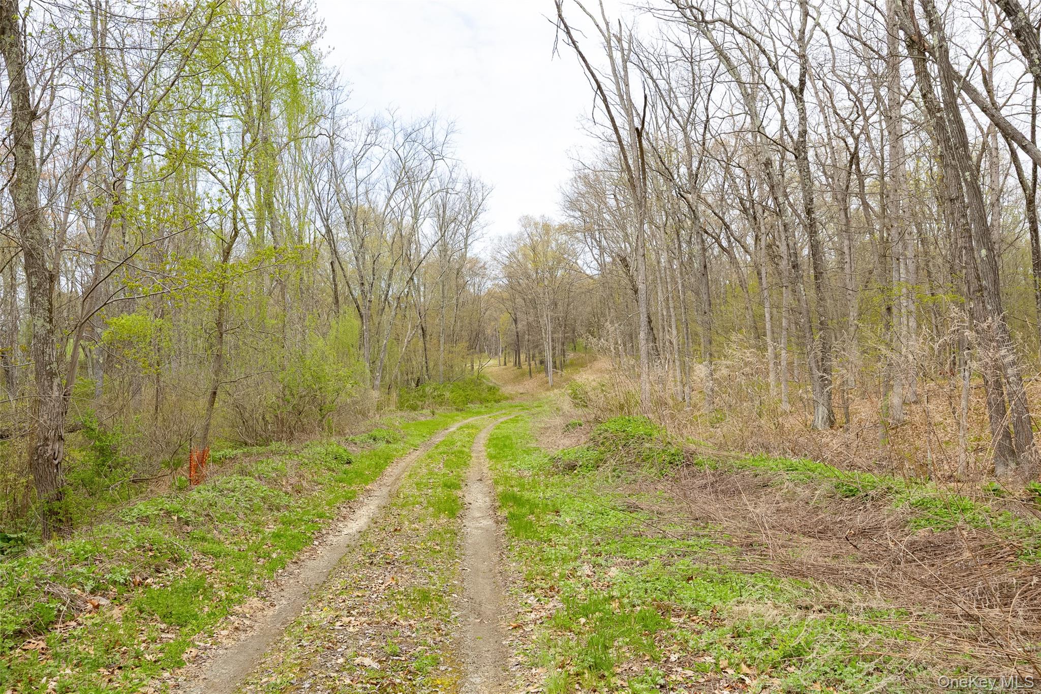 207 Pleasantvale Road Tivoli, NY 12583 - Photo 3 of 8