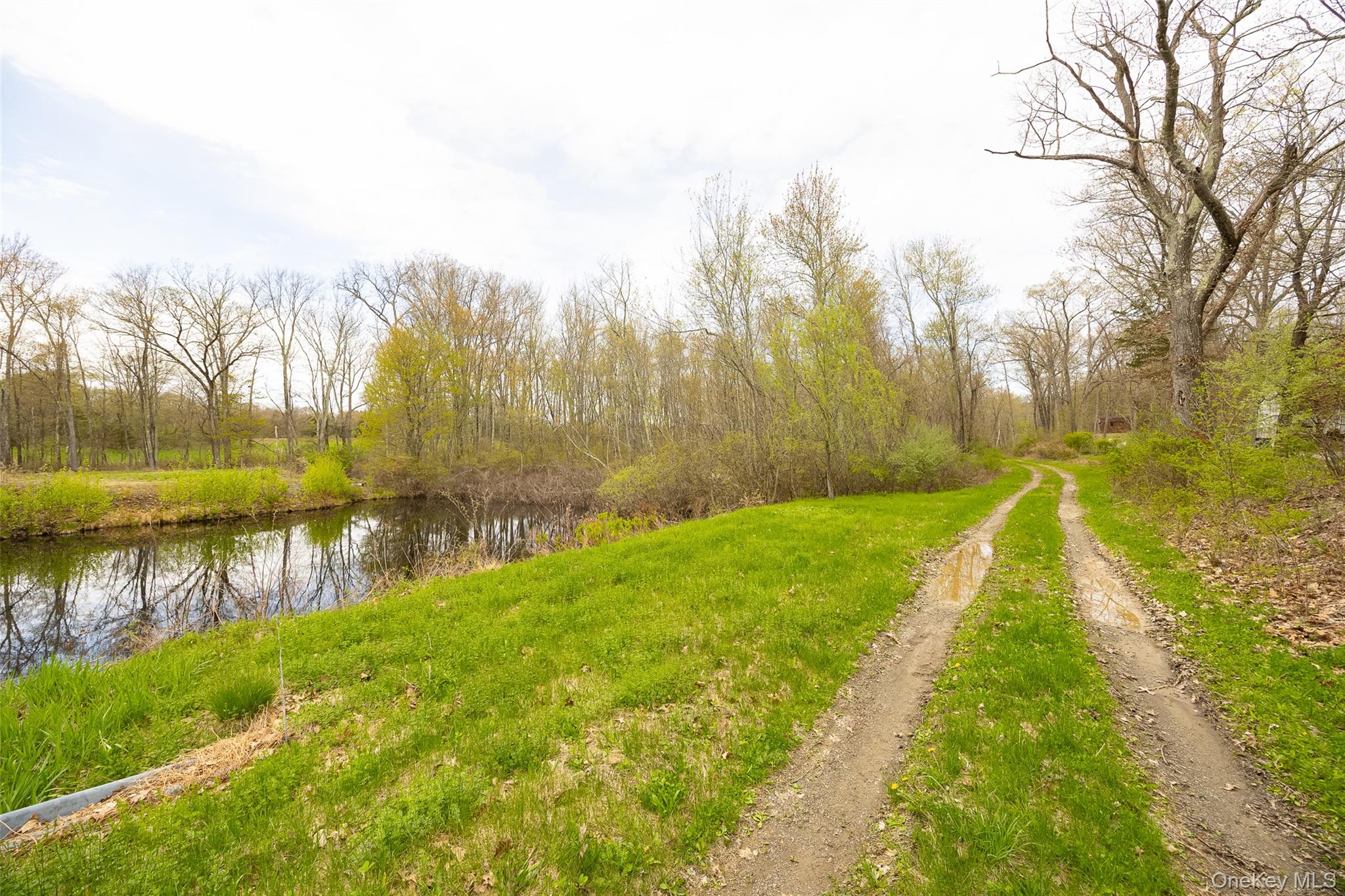 207 Pleasantvale Road Tivoli, NY 12583 - Photo 4 of 8