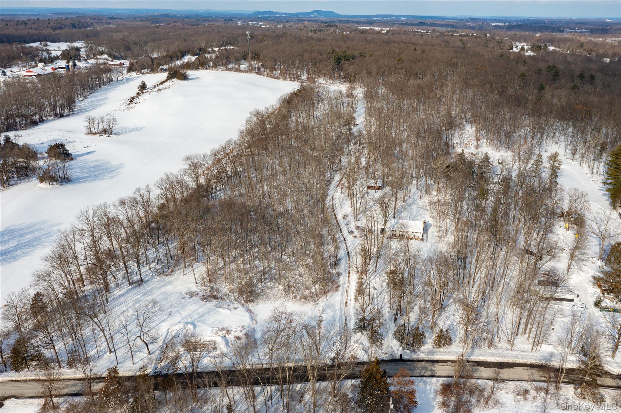 207 Pleasantvale Road Tivoli, NY 12583 - Photo 4 of 13