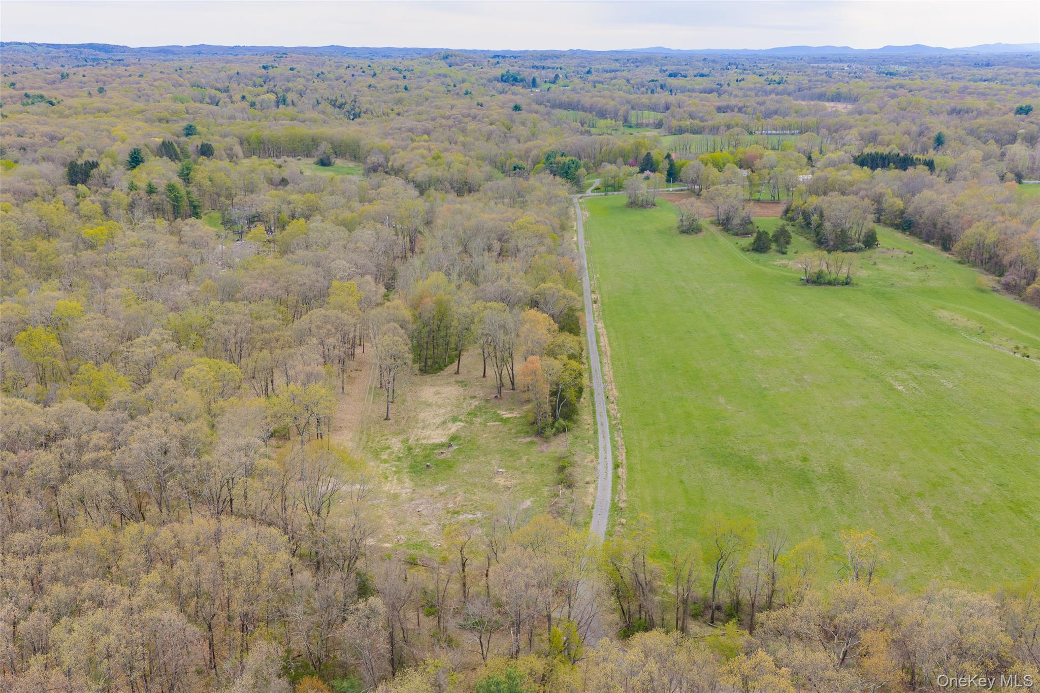 207 Pleasantvale Road Tivoli, NY 12583 - Photo 5 of 8
