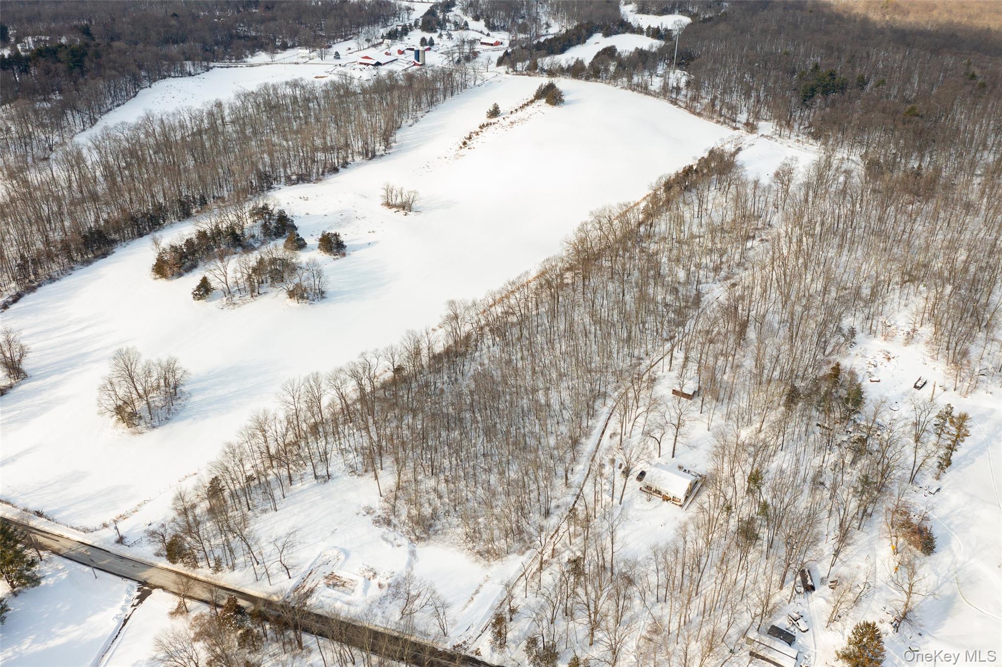 207 Pleasantvale Road Tivoli, NY 12583 - Photo 6 of 13