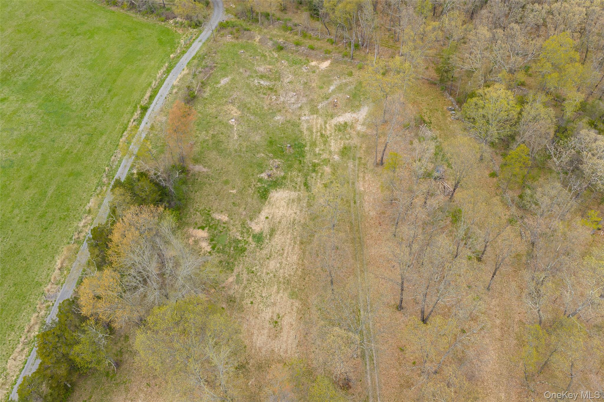 207 Pleasantvale Road Tivoli, NY 12583 - Photo 6 of 8