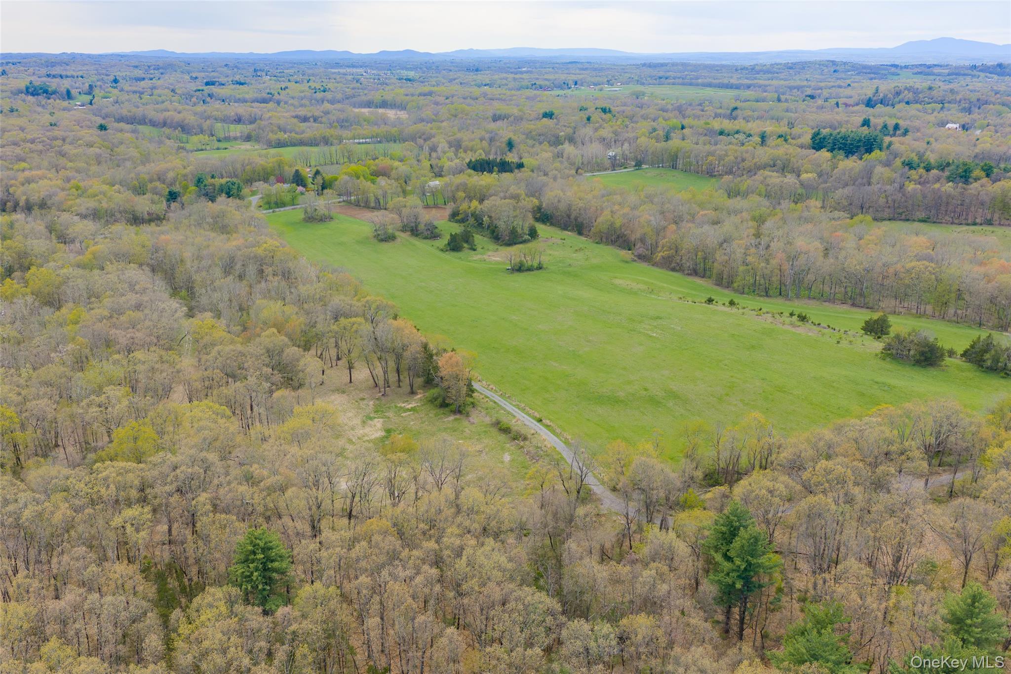 207 Pleasantvale Road Tivoli, NY 12583 - Photo 7 of 8
