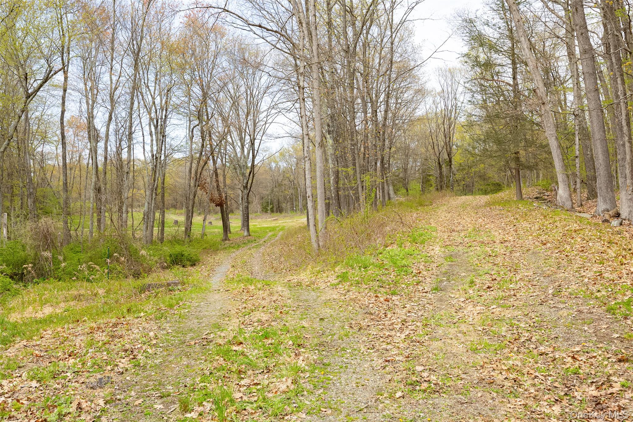 207 Pleasantvale Road Tivoli, NY 12583 - Photo 8 of 8