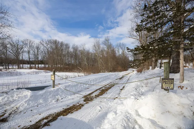 a view of a backyard of the house