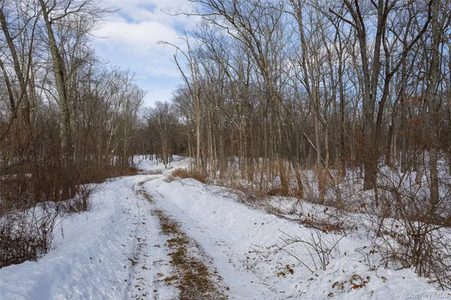 a view of a yard covered in snow