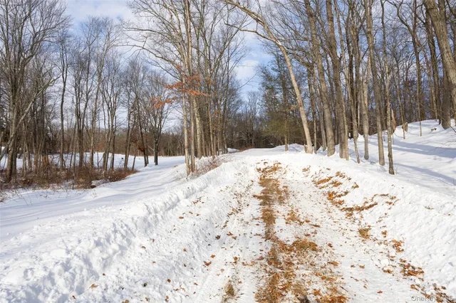 a view of outdoor space with lots of trees
