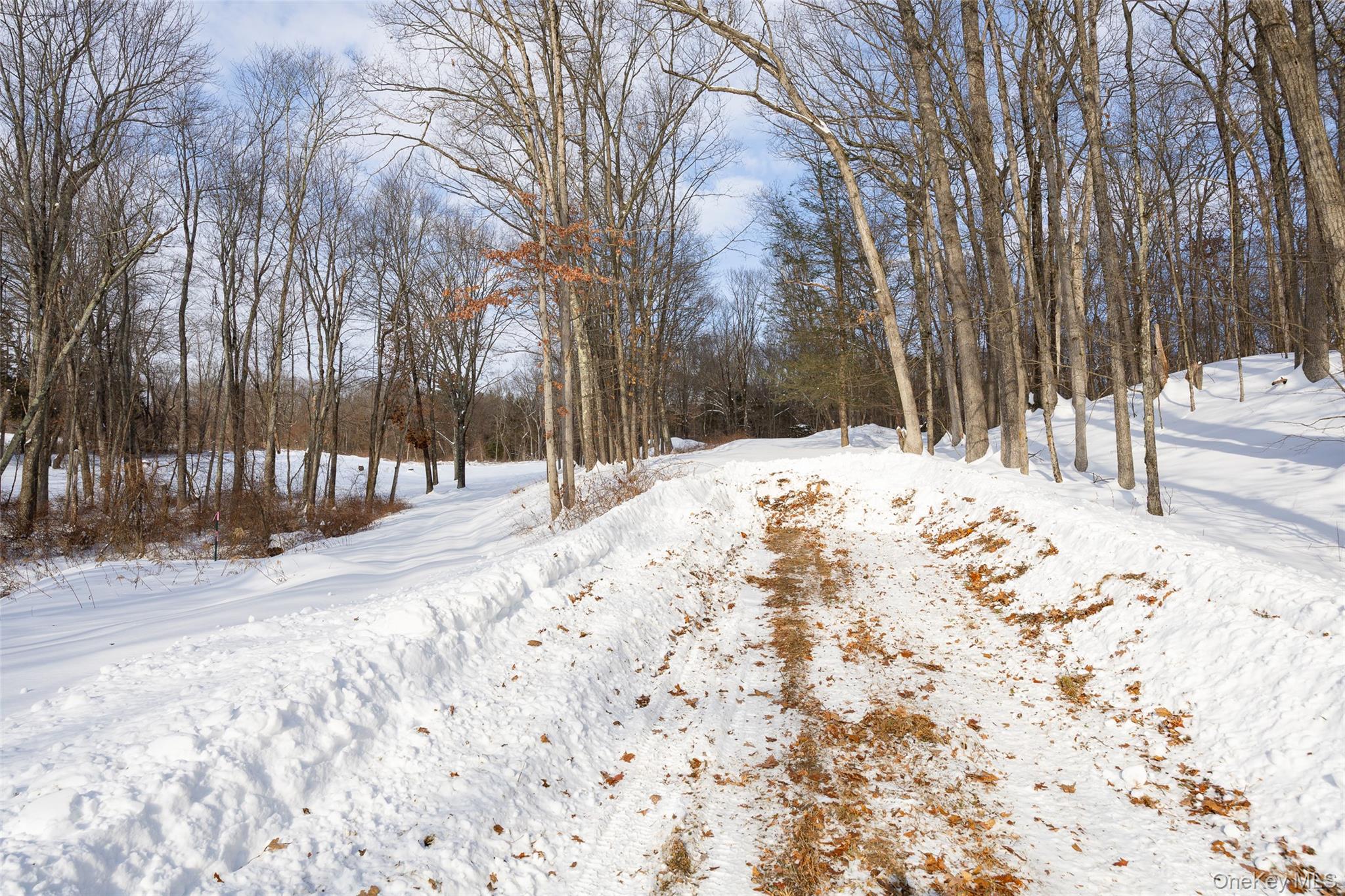 207 Pleasantvale Road Tivoli, NY 12583 - Photo 10 of 13