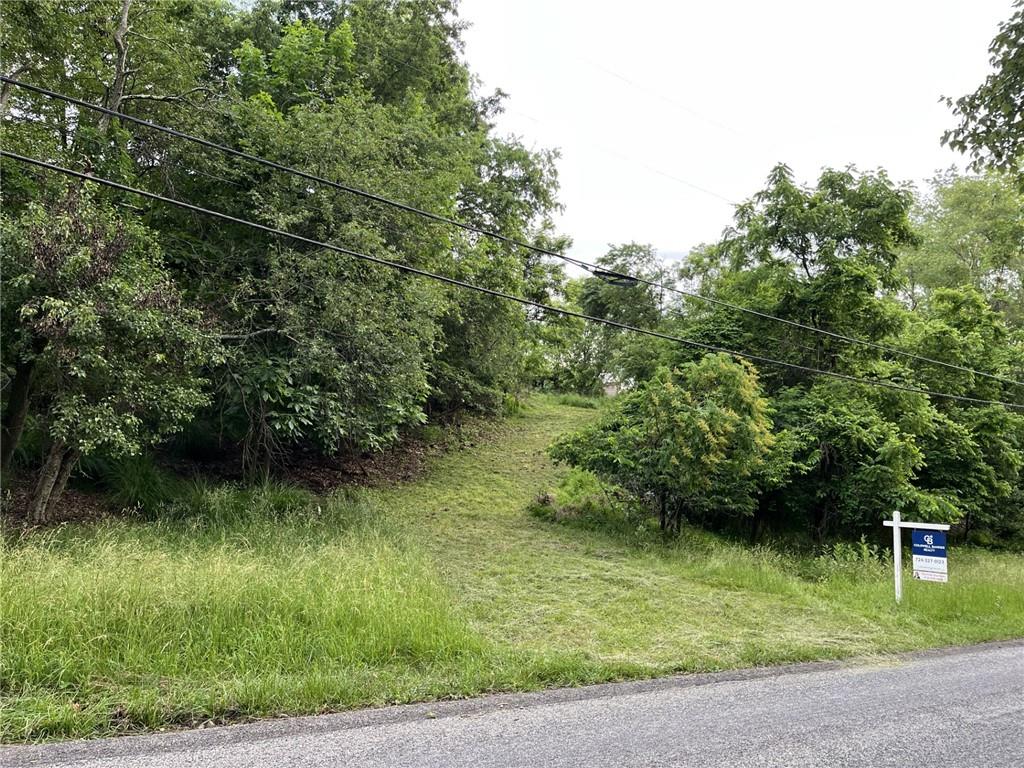 a view of a garden with a bench