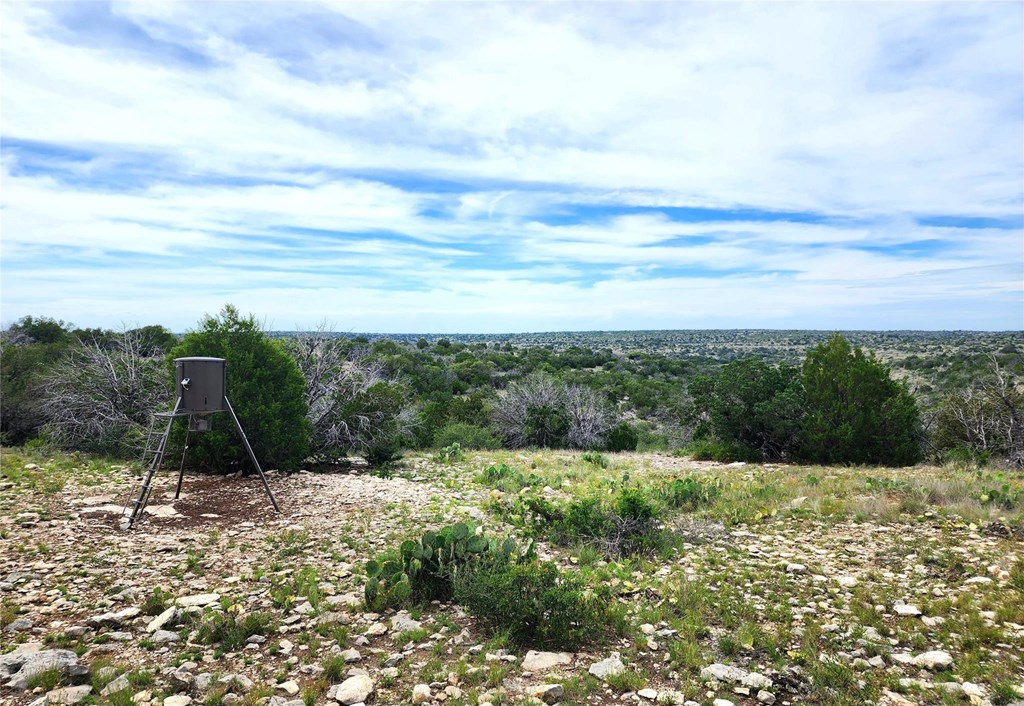 Tbd Tbd Peck Road Comstock, TX 78837 - Photo 11 of 21