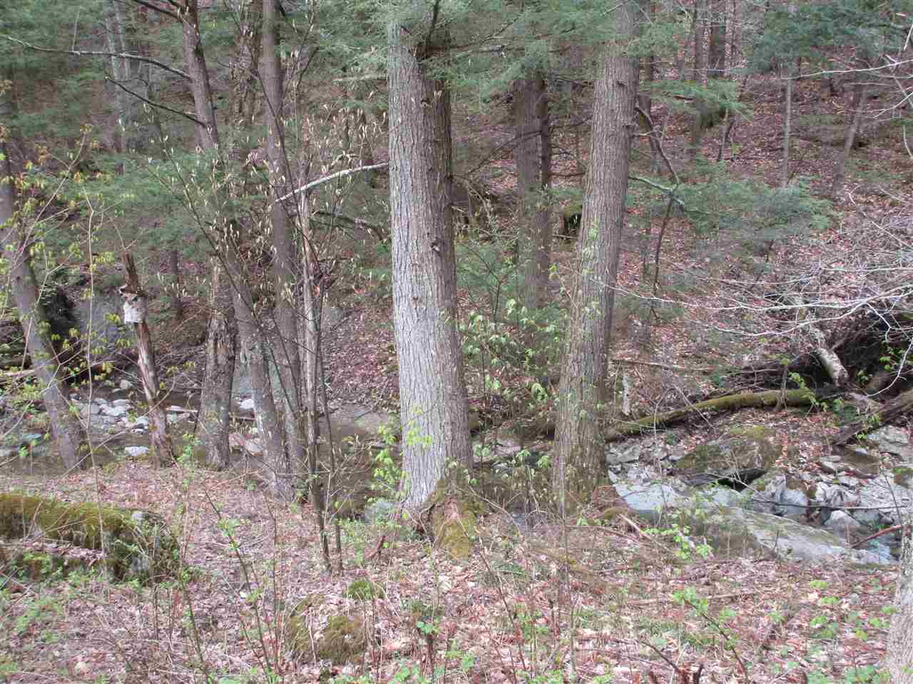 245 Weaver Road Huntington, VT 05462 - Photo 10 of 35 Gallery Image 10