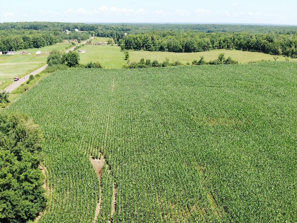 0 110th Frederic, WI 54837 - Photo 4 of 11