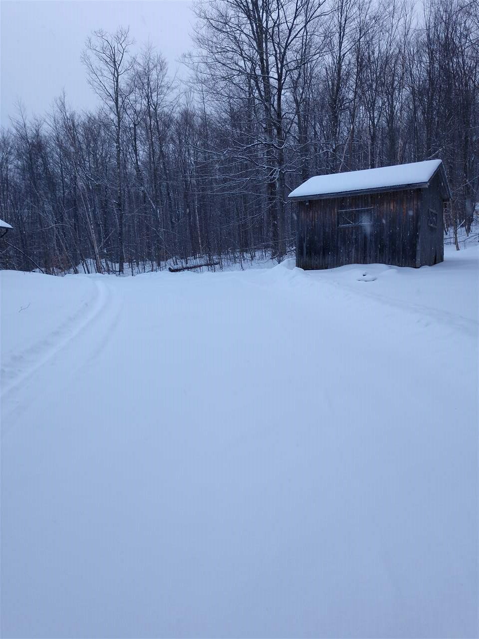 461 Irish Settlement Road Underhill, VT 05489 - Photo 4 of 40 Gallery Image 4