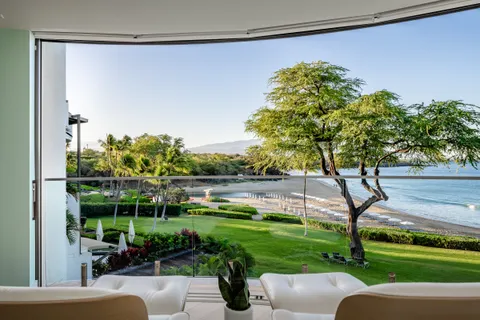 a view of a garden with plants