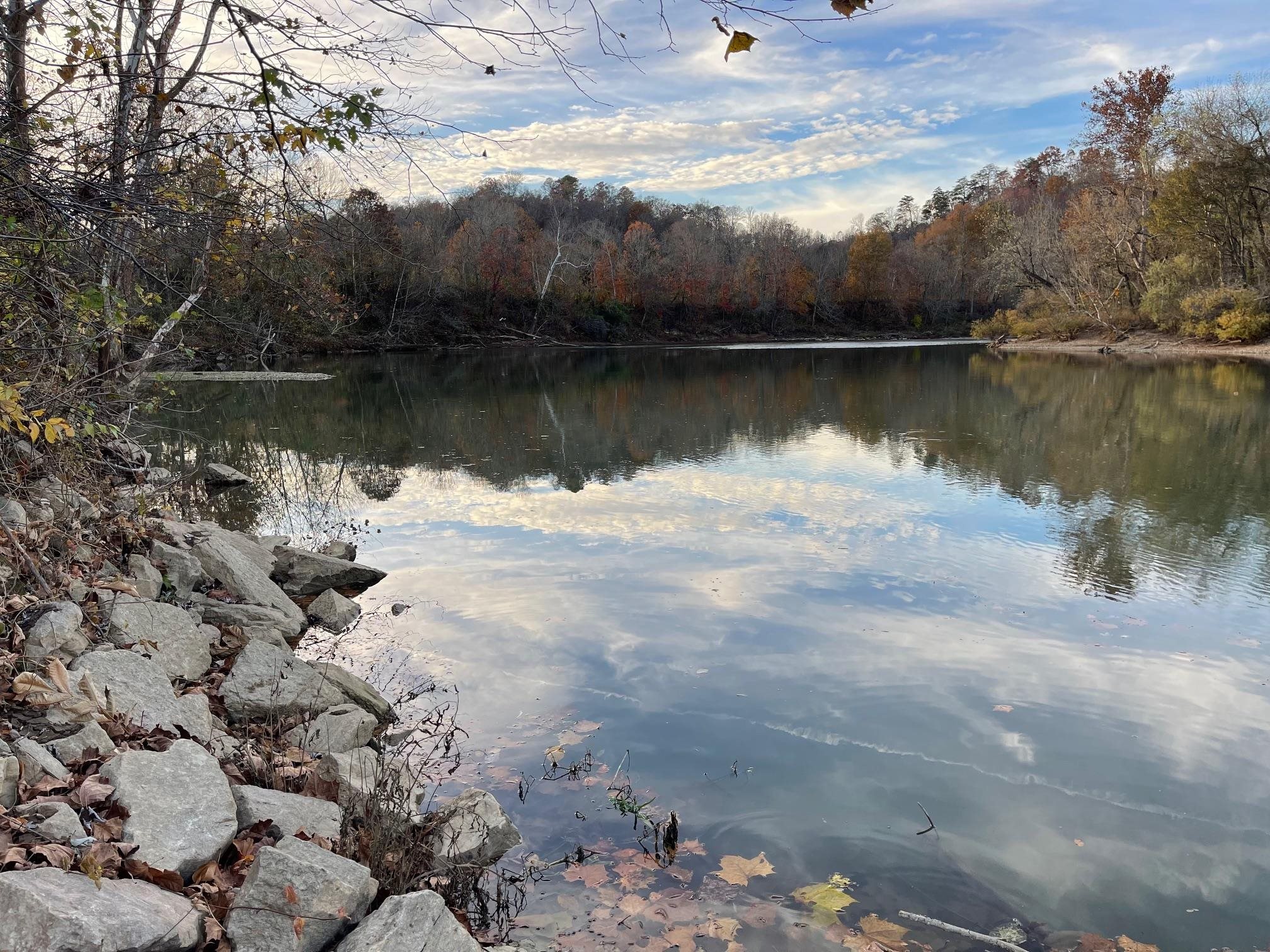 a view of a lake with a city