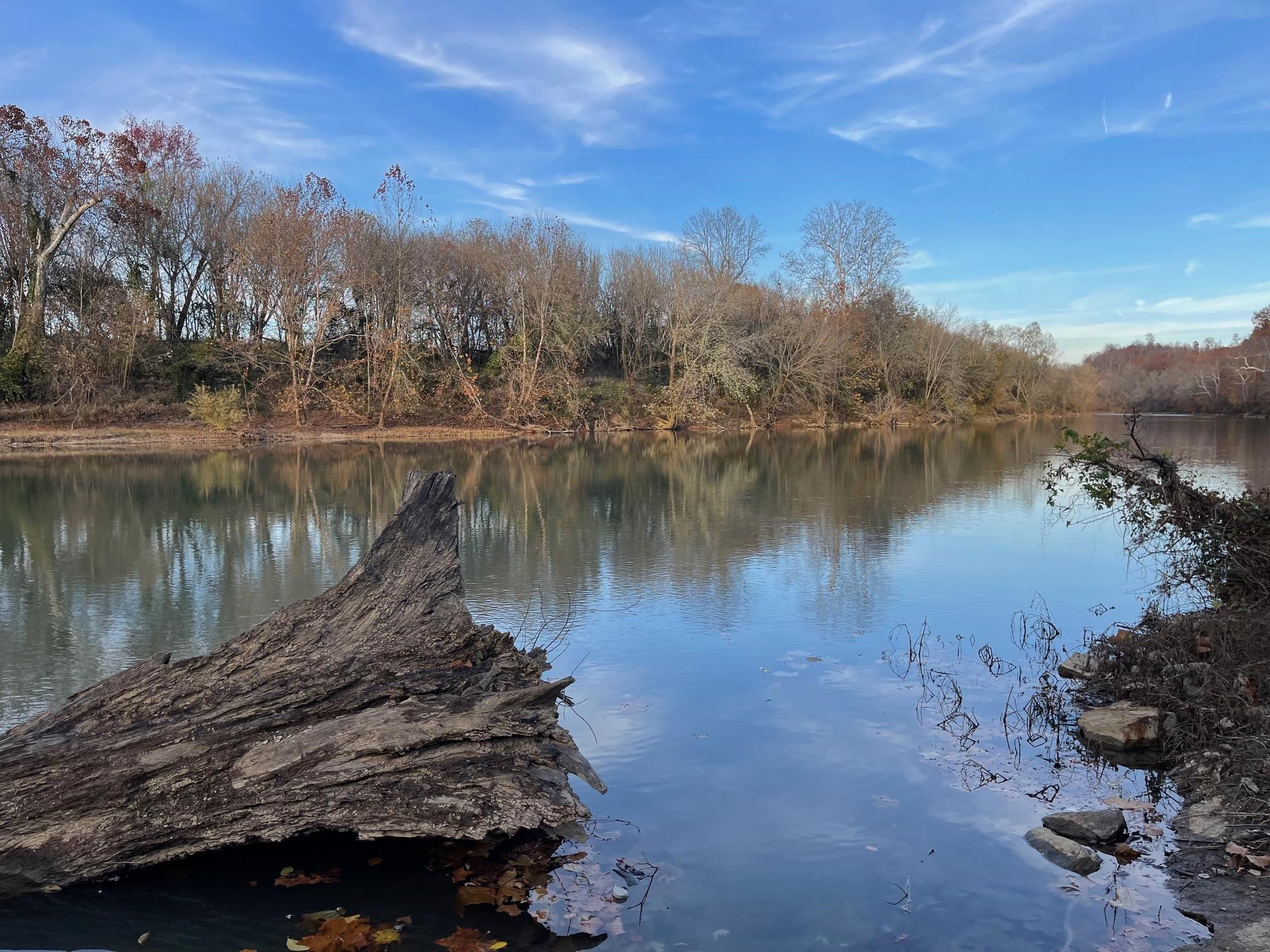 Kennedy Lane Centerville, TN 37033 - Photo 10 of 15 a view of a lake in between two and trees