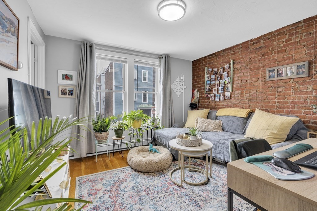 493-495 East 7th Street Boston, MA 02127 - Photo 18 of 22 a living room with furniture and a potted plant