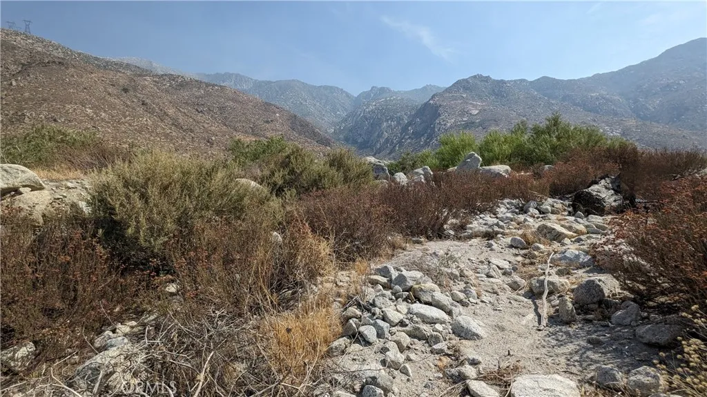 0 Hattie Cabazon, CA 92230 - Photo 2 of 4 a view of a forest with mountains in the background