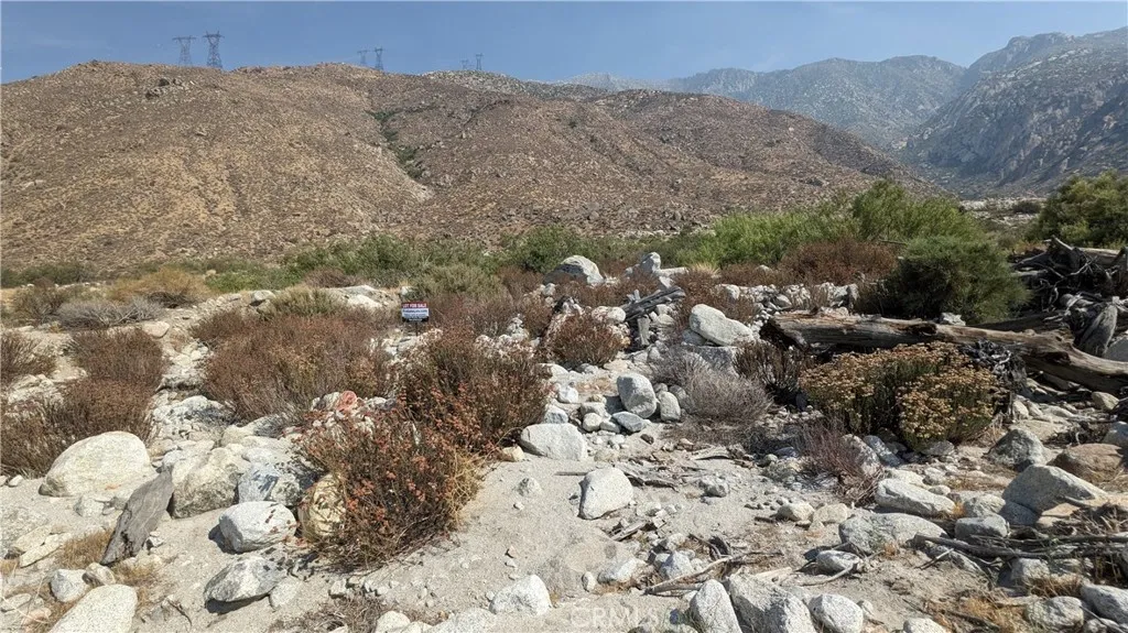 0 Hattie Cabazon, CA 92230 - Photo 3 of 4 a view of a forest with mountains in the background
