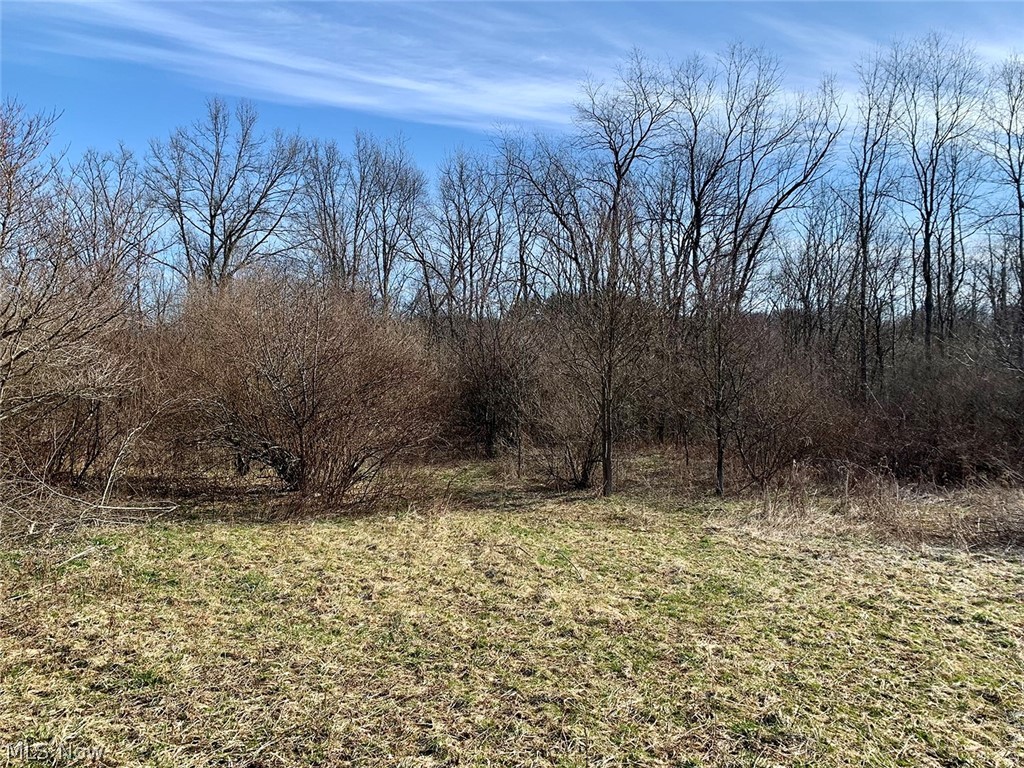 3537 Roswell Road Northwest Carrollton, OH 44615 - Photo 1 of 20