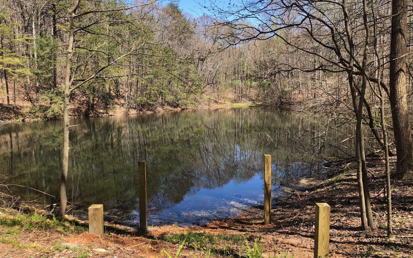 38-ac Fern Valley Road Ellijay, GA 30536 - Photo 1 of 1 Main View