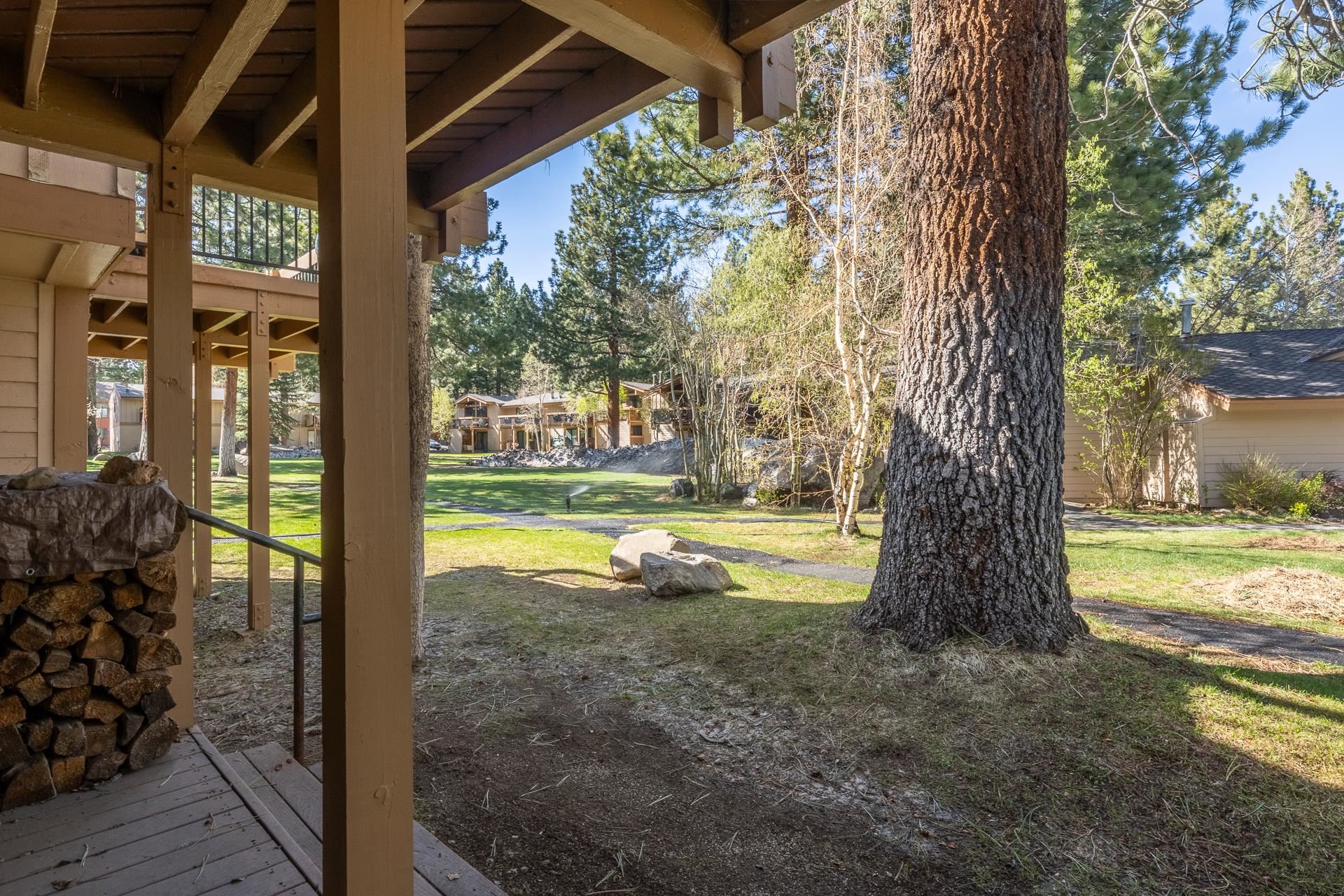 3252 Chateau Road, Unit #2 Mammoth Lakes, CA 93546 - Photo 48 of 52