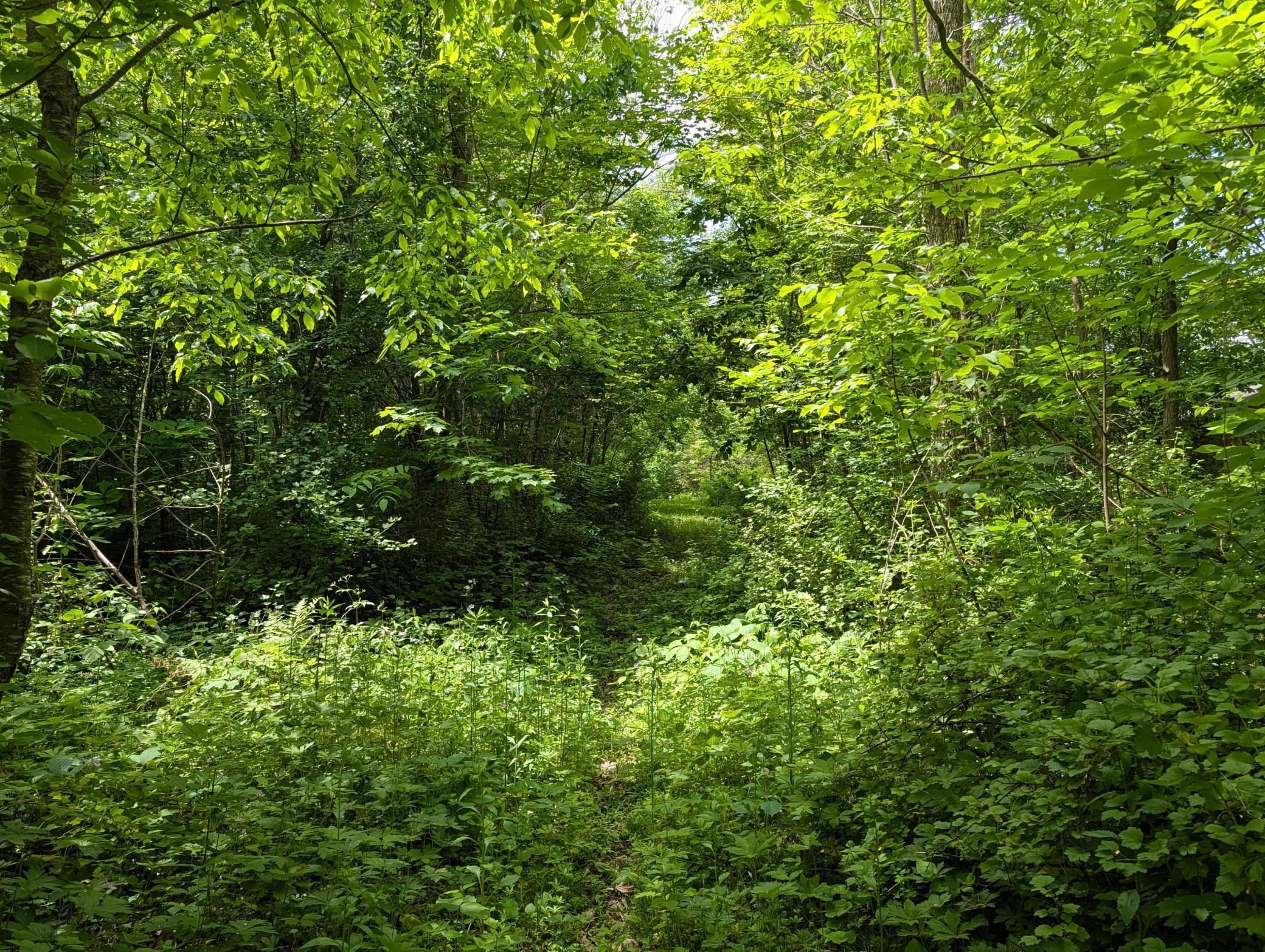 19 County Road 19 Southeast Rochester, MN 55904 - Photo 12 of 18