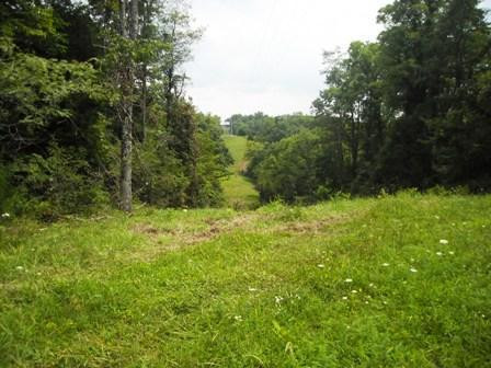 0 Liberty Ridge Road Falmouth, KY 41040 - Photo 2 of 8 Gallery Image 2