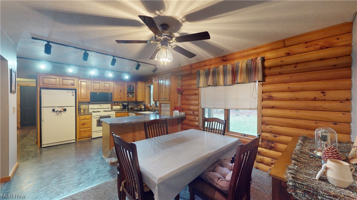 4308 Lyntz Road Warren, OH 44481 - Photo 11 of 34 Dining area featuring sink, a textured ceiling, track lighting, ceiling fan, and rustic walls