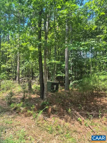 a garden view with a sitting space