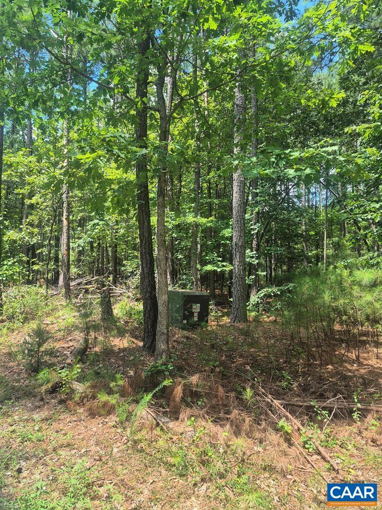 a garden view with a sitting space