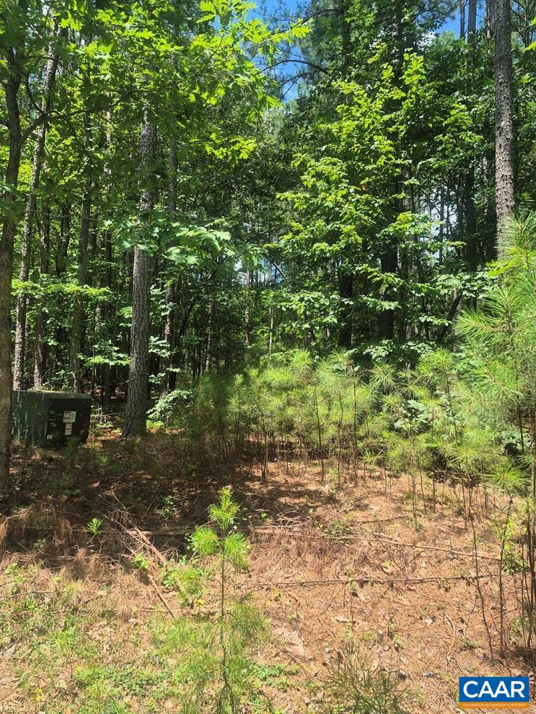 0 Hixburg Road Prospect, VA 23960 - Photo 3 of 3 a view of a garden with plants