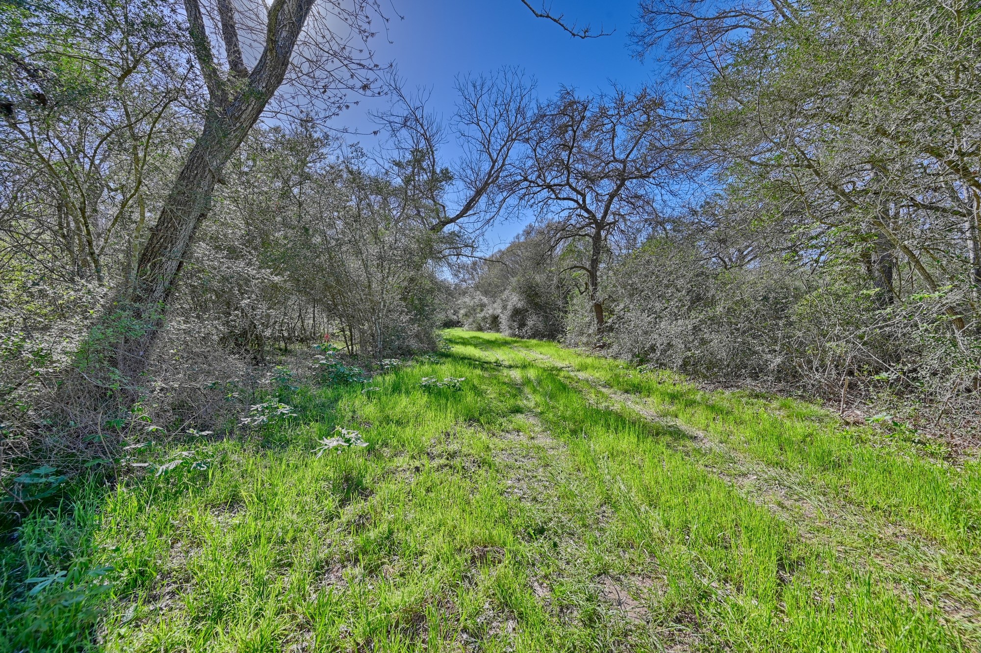 0 Zettel Road New Ulm, TX 78950 - Photo 5 of 11
