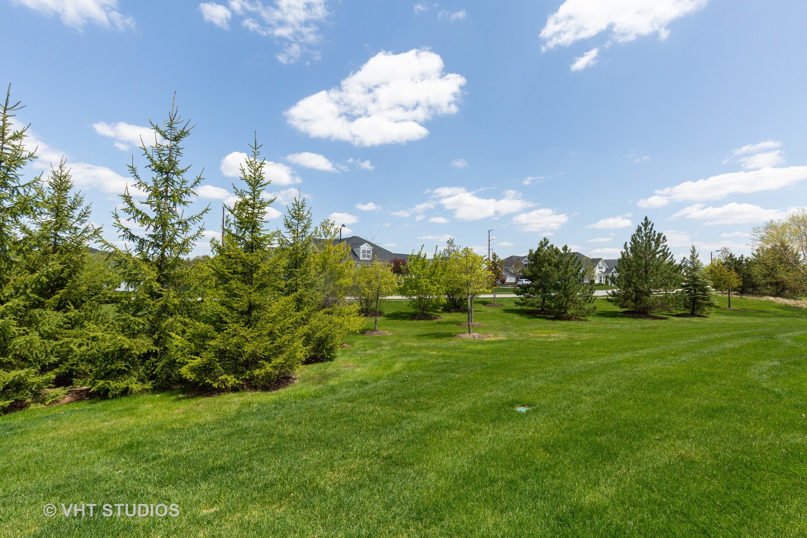 1175 Falcon Ridge Drive, Unit 1175 Elgin, IL 60124 - Photo 17 of 17 a view of a big yard with plants and large trees