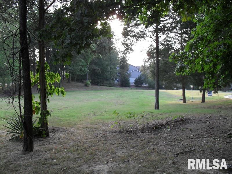Lot 28 Lot Ridge Carbondale, IL 62901 - Photo 1 of 3 Gallery Image 1