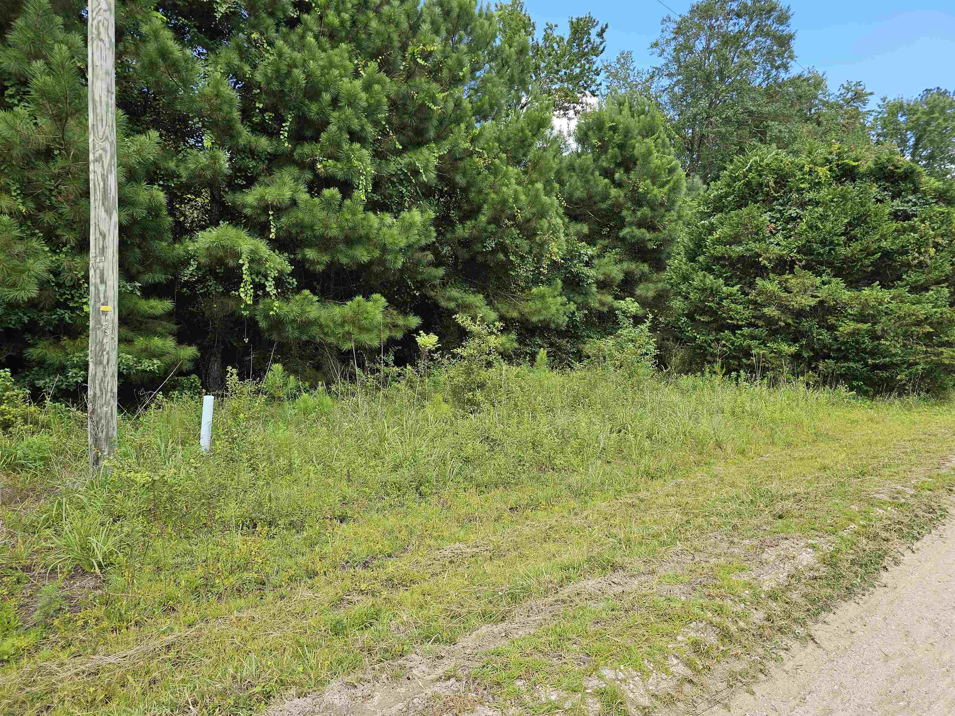 Tbd Lot 8 Tbd Lane Loris, SC 29569 - Photo 1 of 6 Road Frontage on Powell Lane