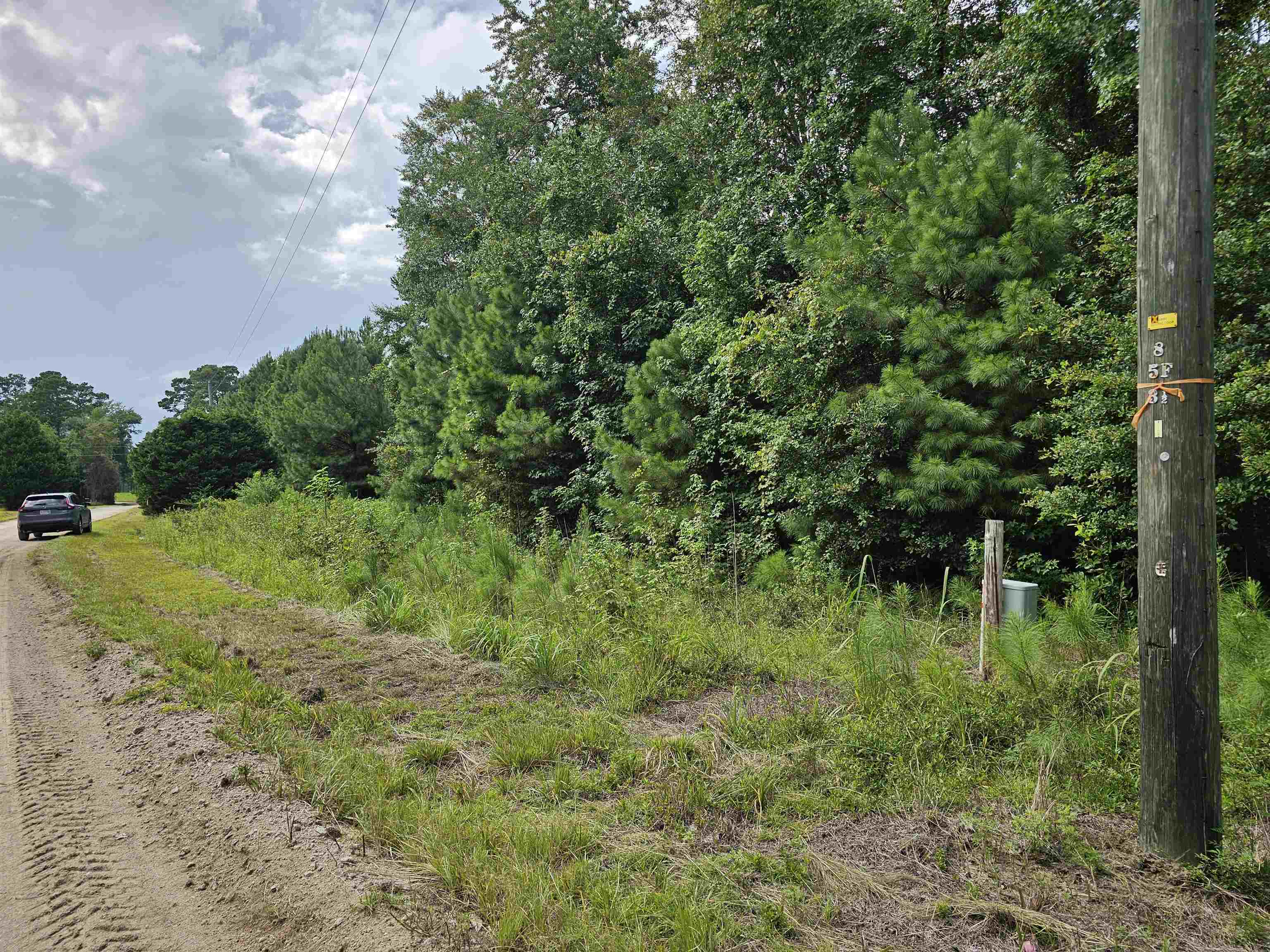 Tbd Lot 8 Tbd Lane Loris, SC 29569 - Photo 4 of 6