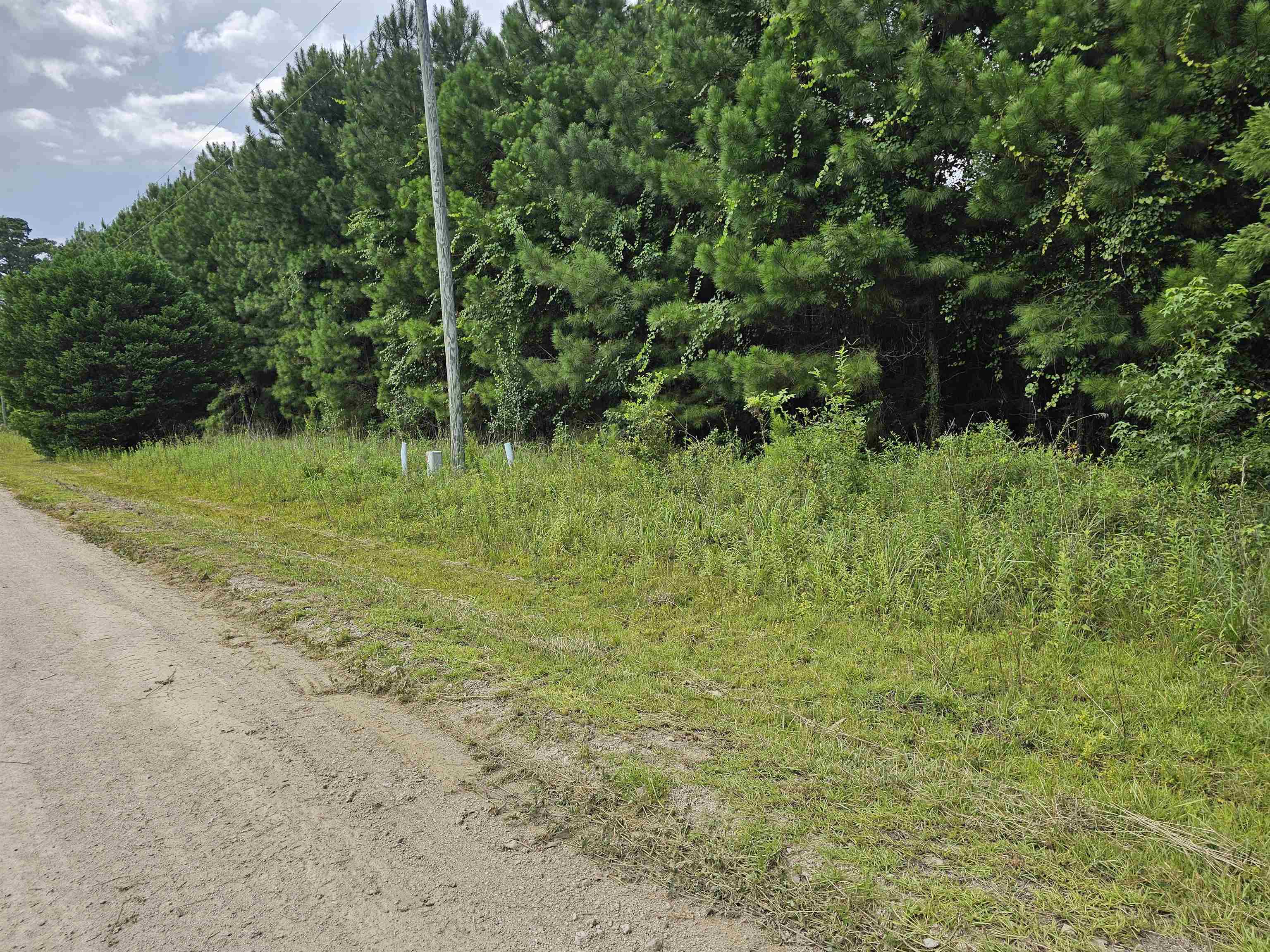 Tbd Lot 8 Tbd Lane Loris, SC 29569 - Photo 5 of 6