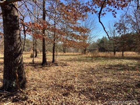255 Claude Gilbert Road, Unit 4&5 Columbus, NC 28722 - Photo 22 of 24 Gallery Image 22