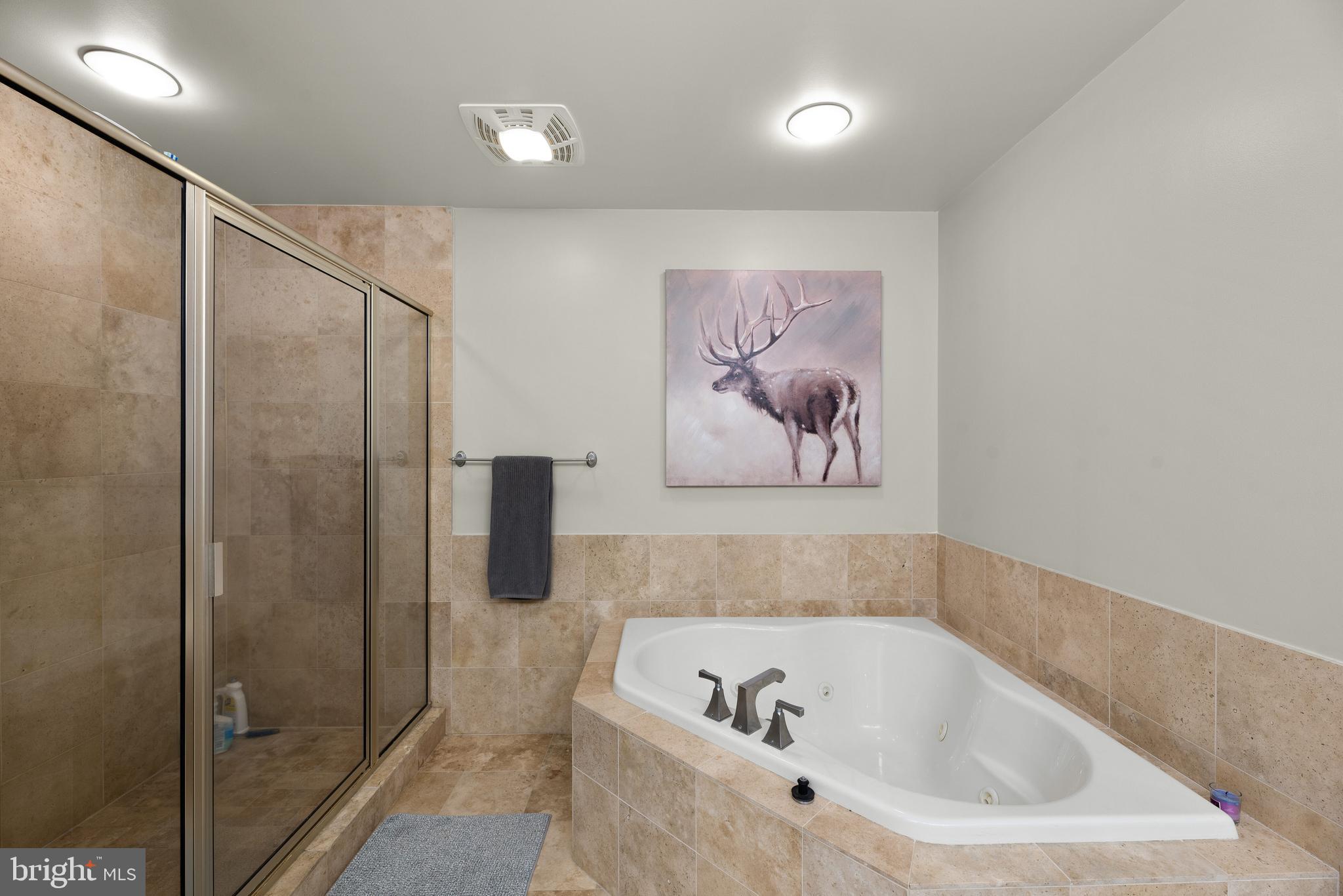 2772 Lighthouse Point East, Unit 313 Baltimore, MD 21224 - Photo 21 of 35 Primary Bath