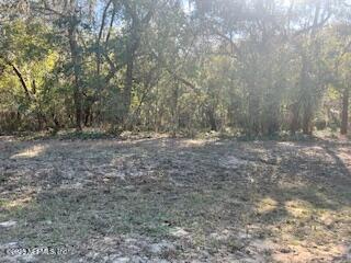 230-0040 Indian Lakes Road Hawthorne, FL 32640 - Photo 1 of 6 IMG_0620