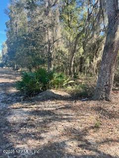 230-0040 Indian Lakes Road Hawthorne, FL 32640 - Photo 3 of 6 IMG_0621