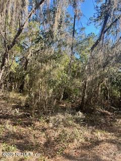 230-0040 Indian Lakes Road Hawthorne, FL 32640 - Photo 4 of 6 IMG_0622