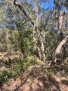 230-0040 Indian Lakes Road Hawthorne, FL 32640 - Photo 5 of 6 IMG_0623