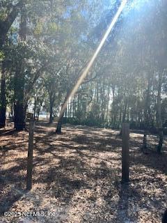 230-0040 Indian Lakes Road Hawthorne, FL 32640 - Photo 6 of 6 IMG_0624