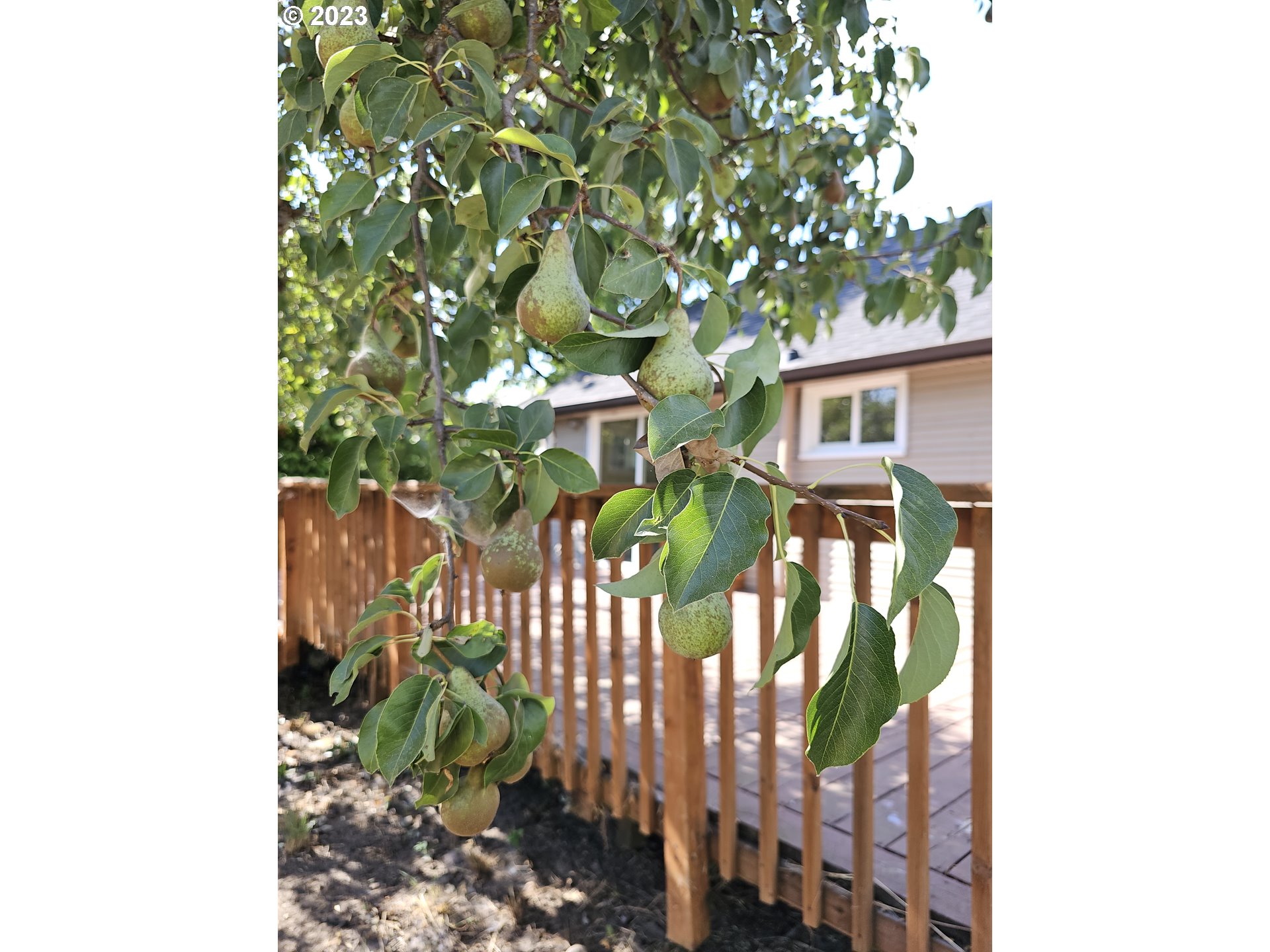 2644 Edison Street Eugene, OR 97402 - Photo 21 of 29 a view of a house with a flower plants