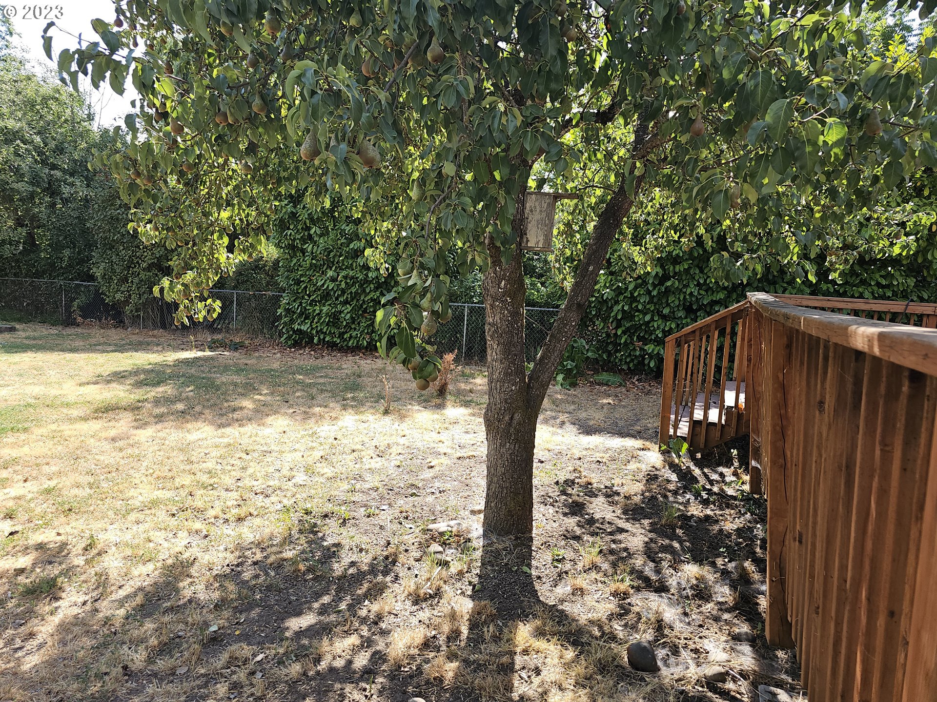 2644 Edison Street Eugene, OR 97402 - Photo 22 of 29 a view of a yard with large tree and wooden fence