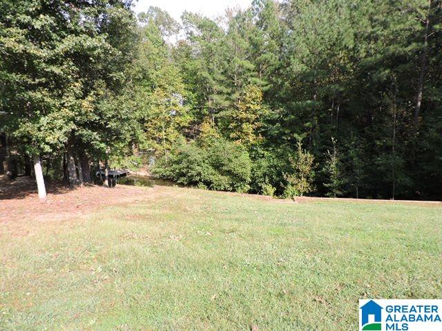 168 Florence Road Wedowee, AL 36278 - Photo 24 of 30