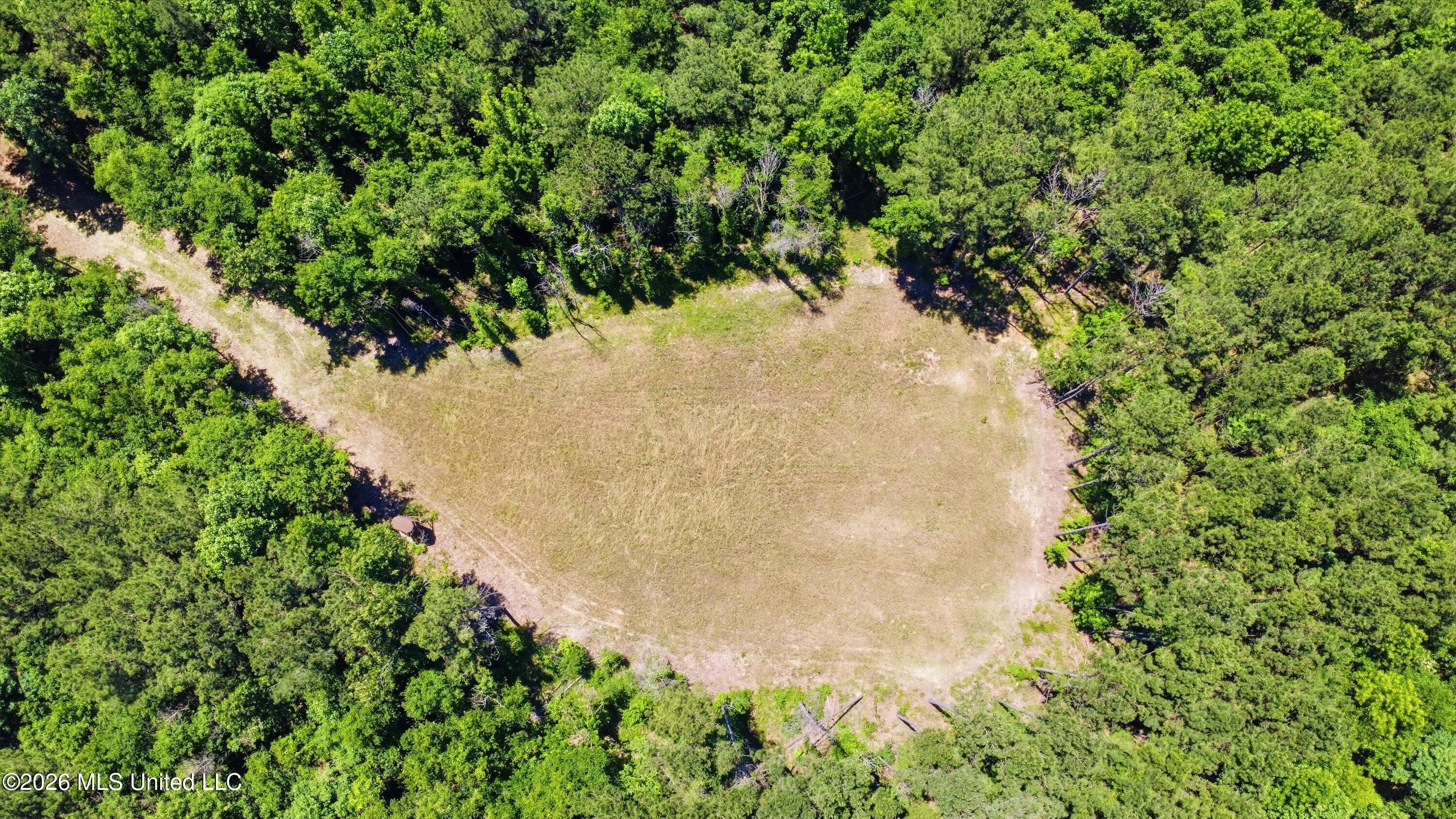 Lake Road Brandon, MS 39042 - Photo 12 of 19 12-Old_Lake_Rd_Drone_012