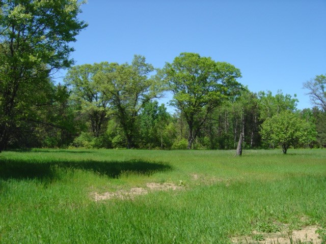 40 17 Mile Road Marion, MI 49665 - Photo 9 of 37 1859826-8.JPG